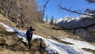 IMG_4335