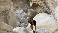 IMG_7385