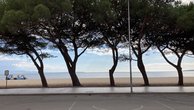IMG_7239