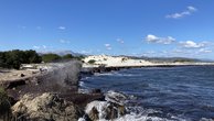 IMG_7504