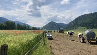 IMG_7279