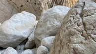IMG_7405