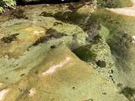 IMG_7428
