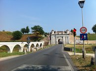 IMG_2785