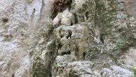 IMG_7431