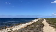 IMG_7167