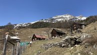 IMG_4100