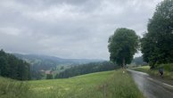 IMG_7280