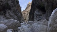 IMG_7434