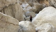 IMG_7394