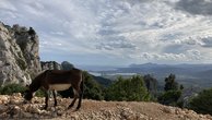 IMG_2639