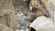 IMG_7384