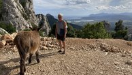 IMG_2644