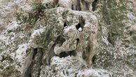 IMG_7432