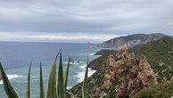 IMG_2511