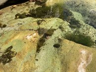 IMG_7430