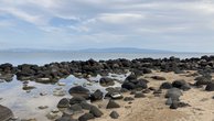 IMG_2393