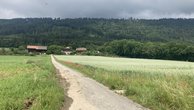 IMG_7296