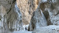 IMG_7378