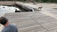 IMG_2403