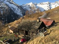 IMG_3777