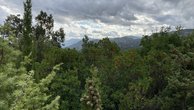 IMG_2661