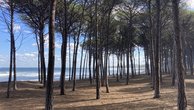 IMG_7509