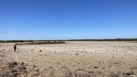 IMG_7275