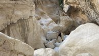 IMG_7396