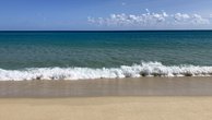 IMG_2544