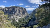 IMG_2682