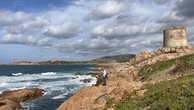 IMG_2309