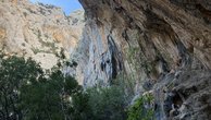 IMG_7361