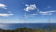 IMG_7096