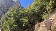 IMG_7358
